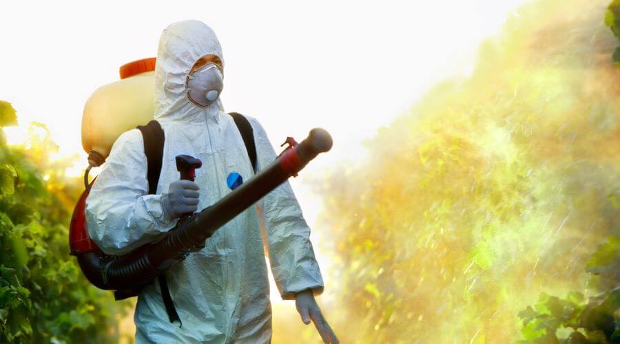 Professional pest control services services in Plover